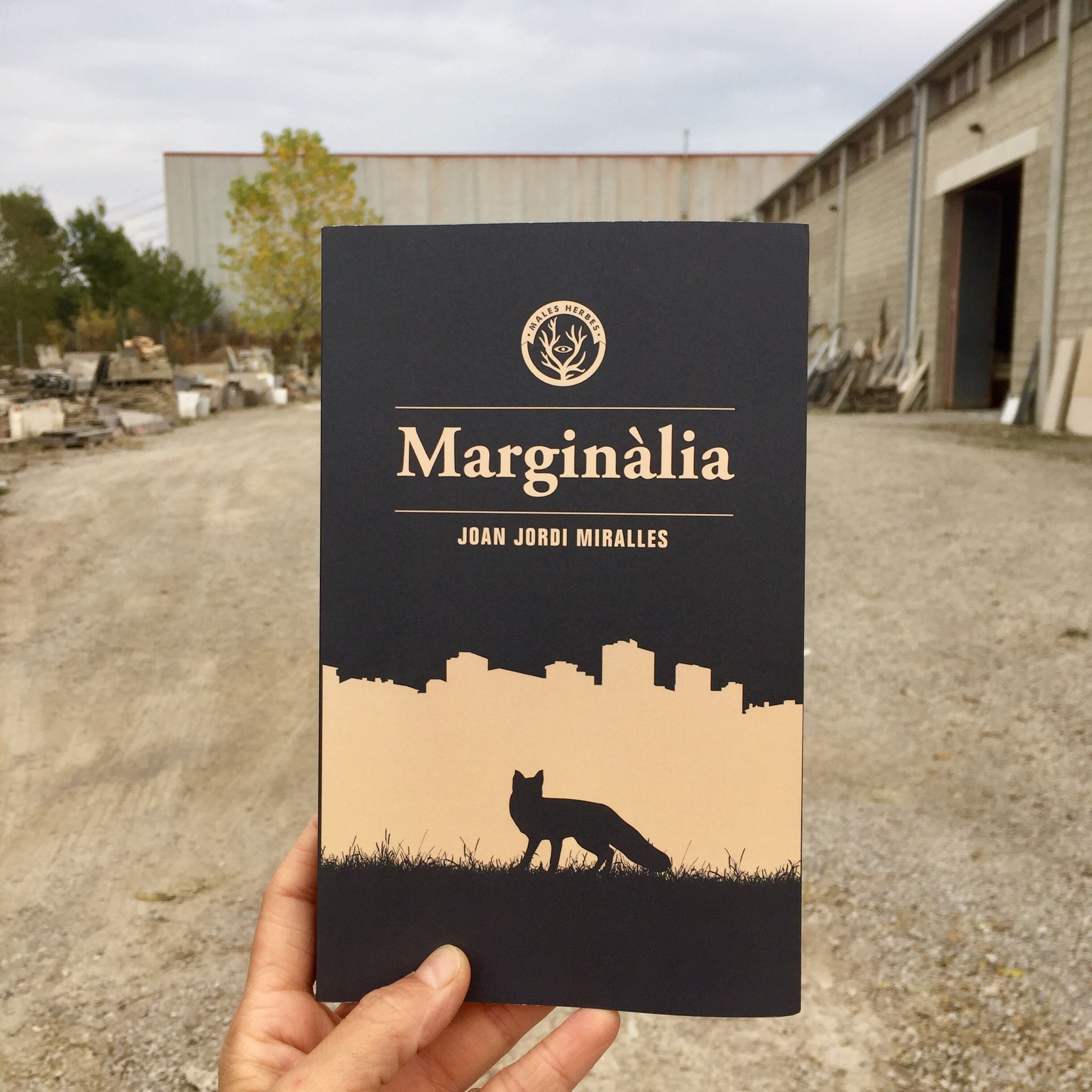 marginalia_llibre_portada
