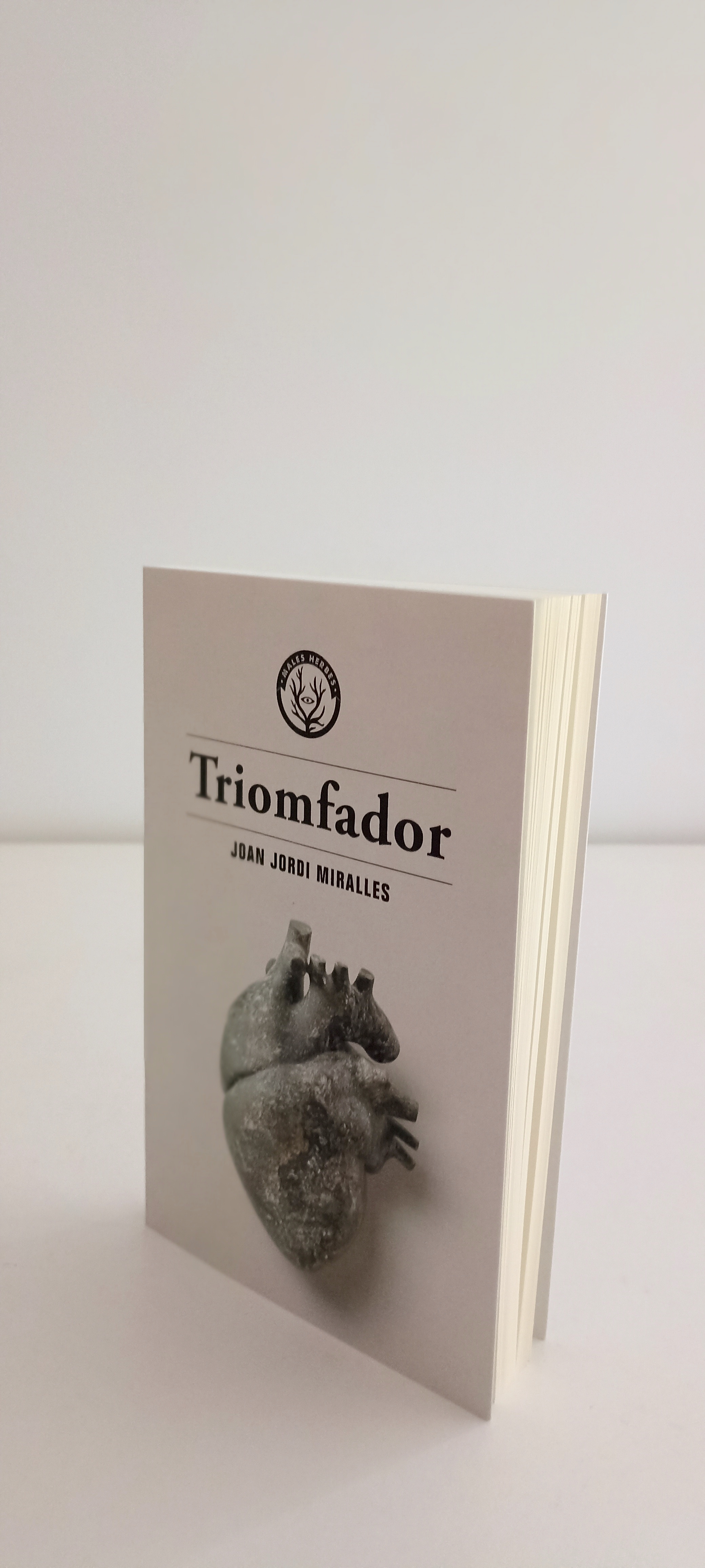 Joan_Jordi_Miralles_capcalera