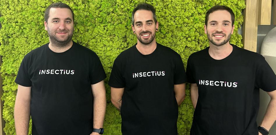 insectius_equip.
