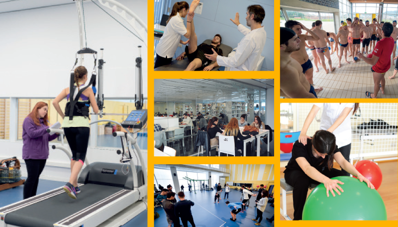 studies double degree physiotherapy cafe on the technocampus